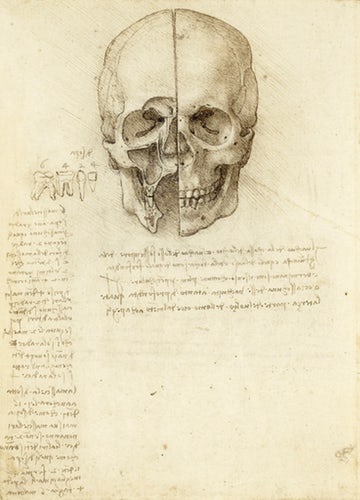 1508256823-leonardo-anatomy-skull-sectioned